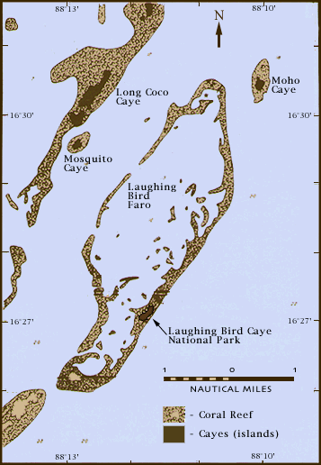 Laughing Bird Caye Faro