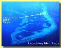 Laughing Bird Faro Aerial