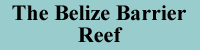 The Belize Barrier Reef